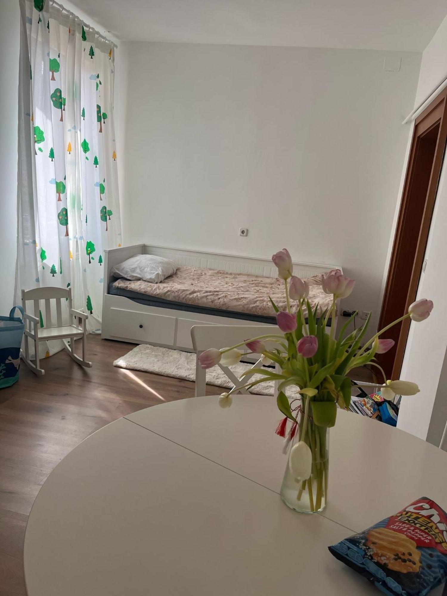 Apartament Strada Eneas 100